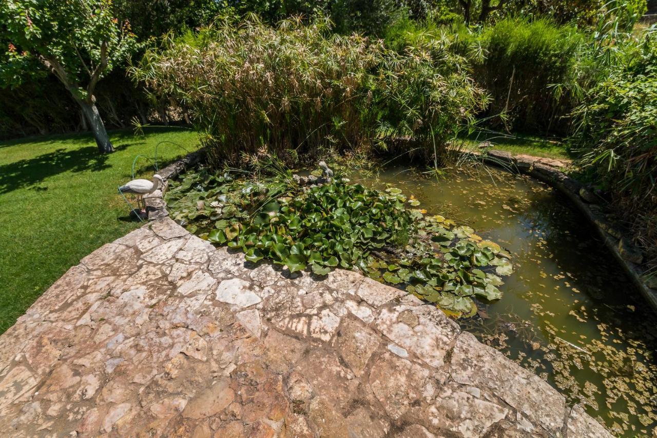 ラゴスQuinta Das Portelasアパートメント エクステリア 写真
